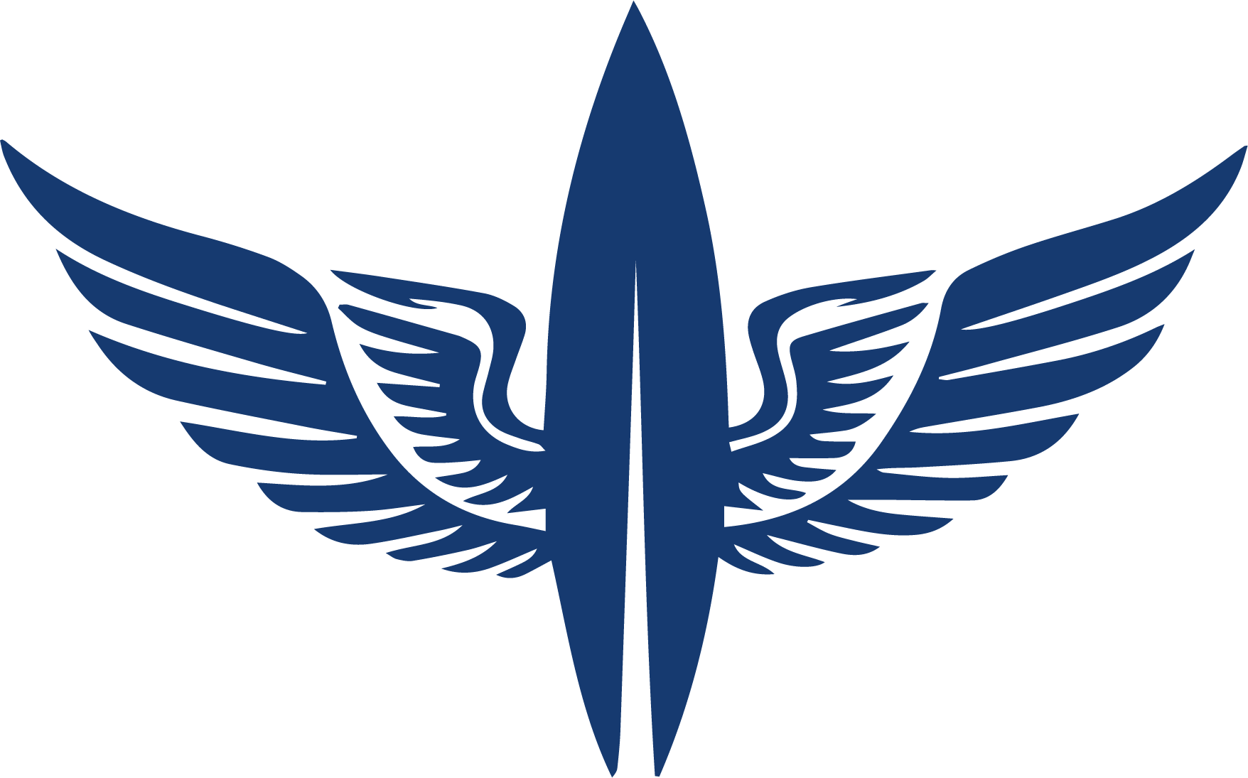 surfinsky